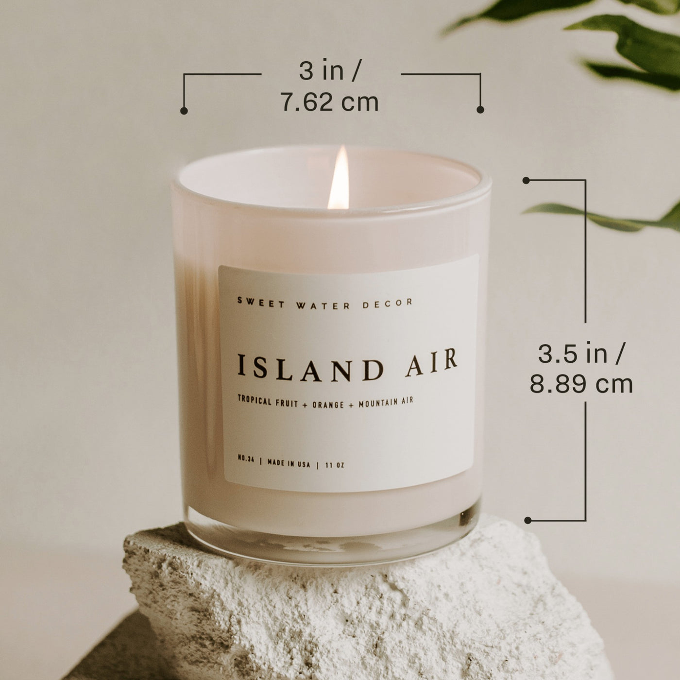 11oz Sea & Salt Soy Candle Dimensions