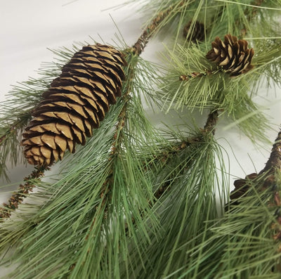 48 inch garland - long needle pine with pine cones