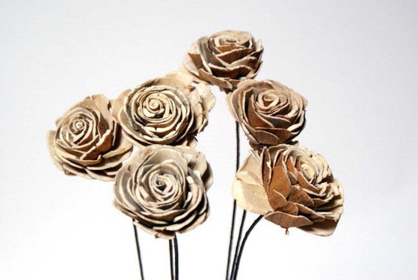 6-rose bundle of small Sola Roses, Small 2.5" diameter.