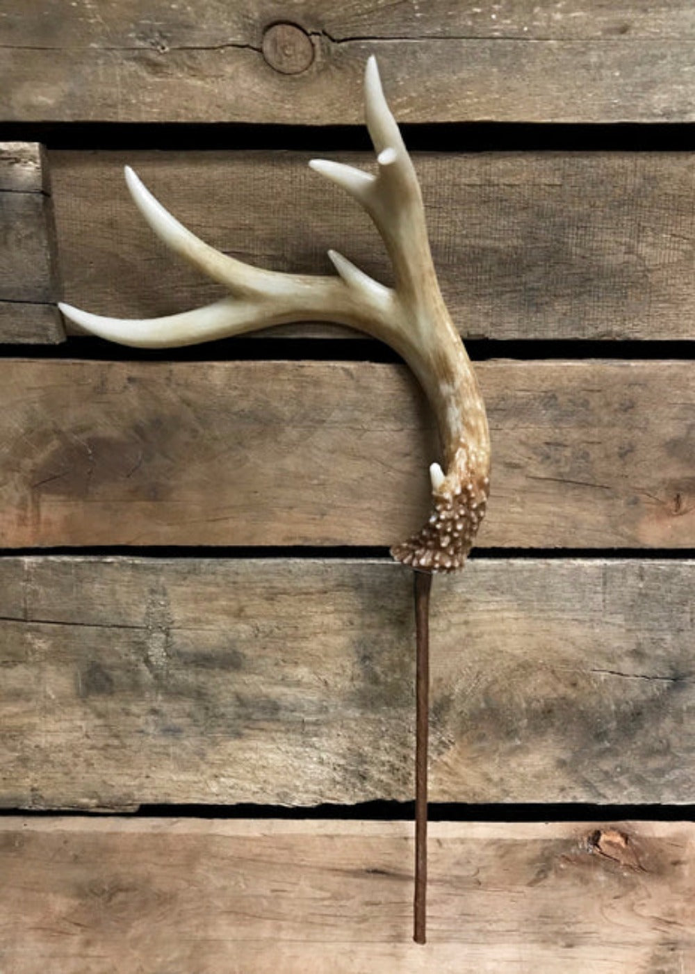 Antler on Stem - 16.5" with 20cm stem - perfect way to add a rustic touch to your Christmas tree and holiday decor