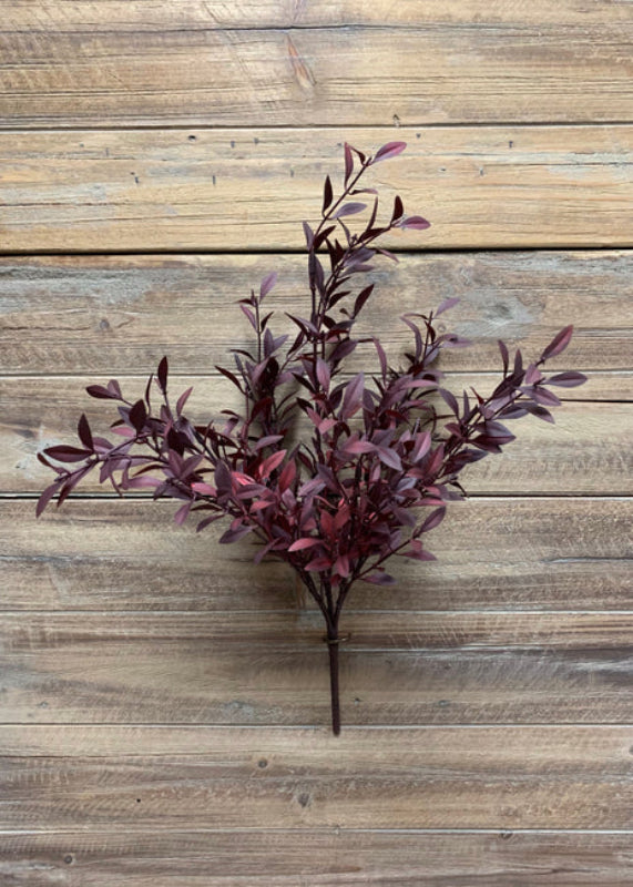 Burgundy willow leaves bush