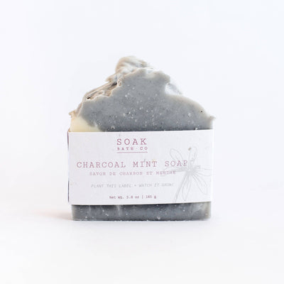 Charcoal Mint Soap Bar