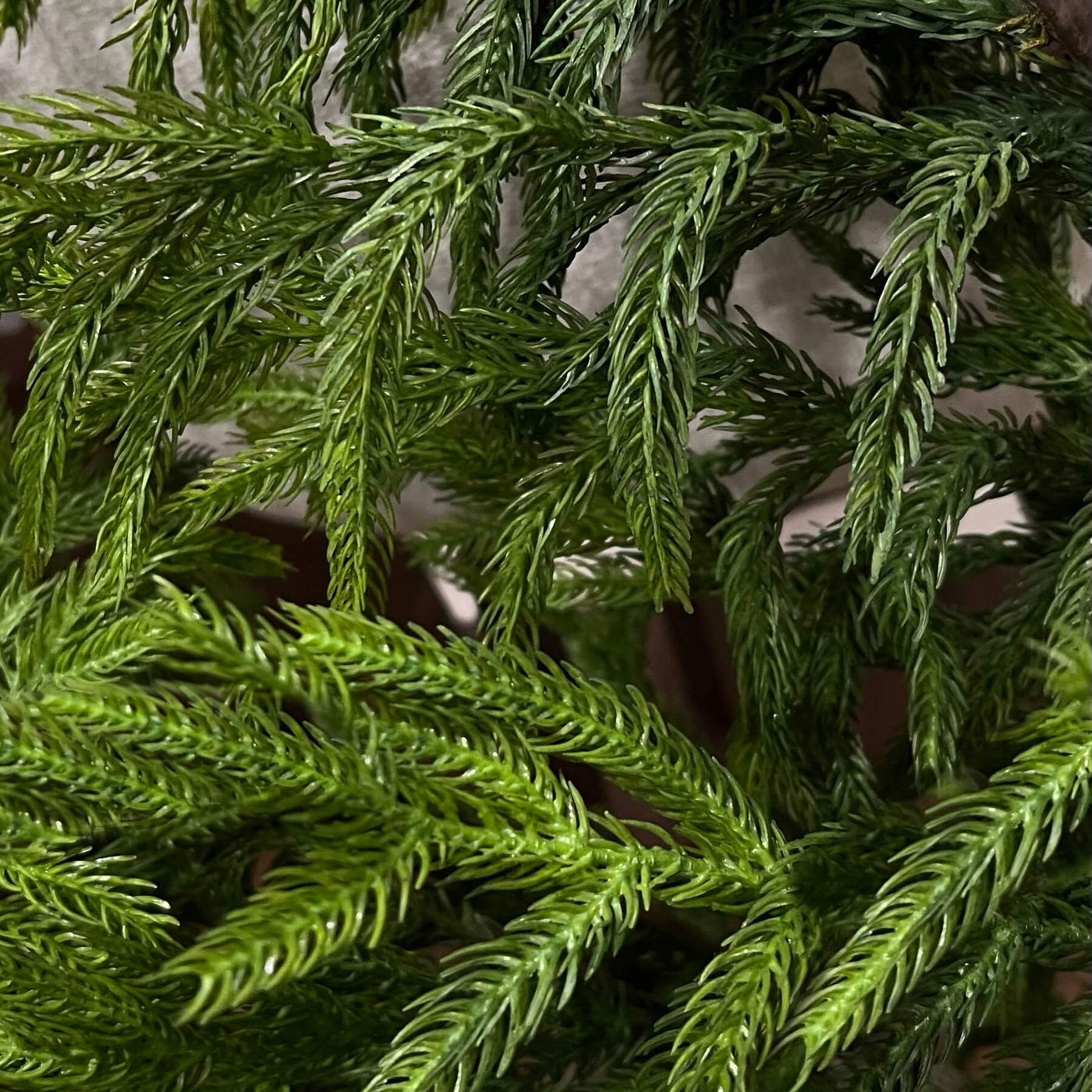 Fresh Touch Norfolk Wreath