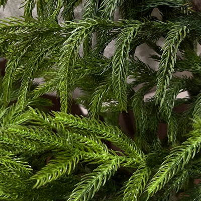 Fresh Touch Norfolk Wreath