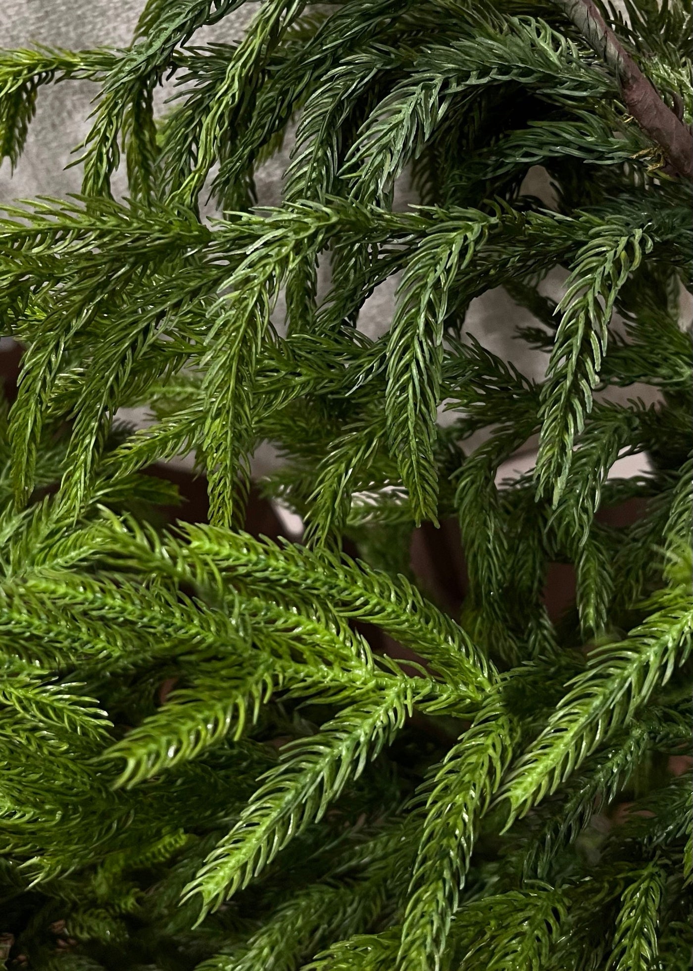 Fresh Touch Norfolk Pine Garland