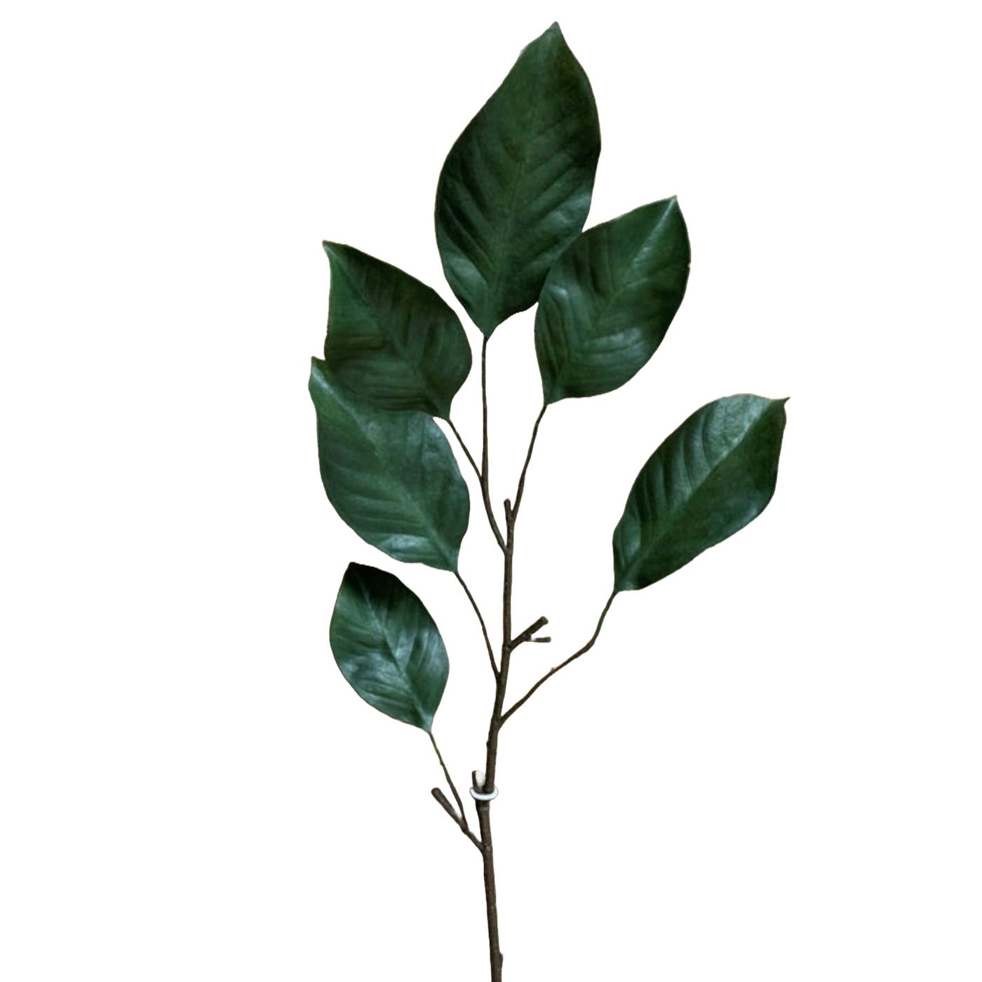 Magnolia Leaf Branch: Use to Enhance the elegance of your Home Vase Décor. Faux, 40" stem with 6 leaves. #11343