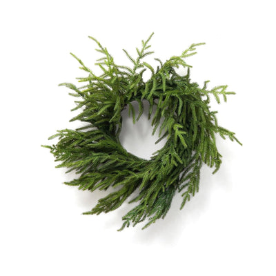 Fresh Touch - Mini Norfolk Pine - 16 inches