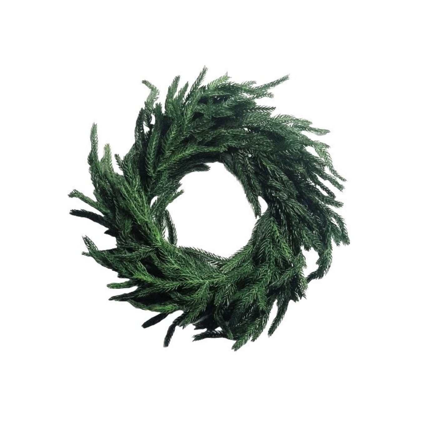 Norfolk Pine Wreath 16" - Fresh Touch, Gorgeous Christmas Greenery