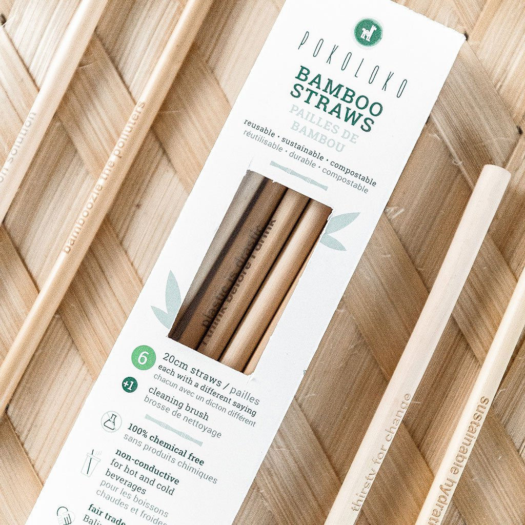 Pokoloko Bamboo Straws 6 pack