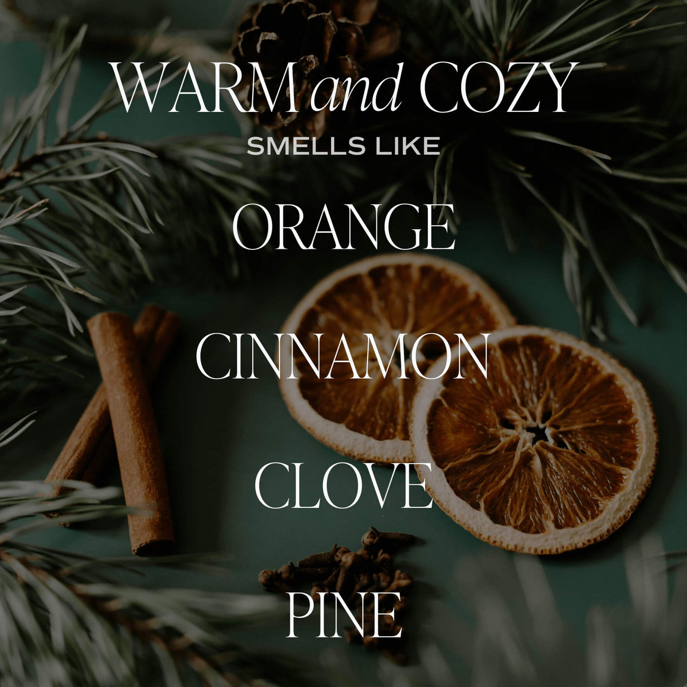 Scent Note of Warm and Cozy Candle - Smells like orange, cinnamon, clove, pine