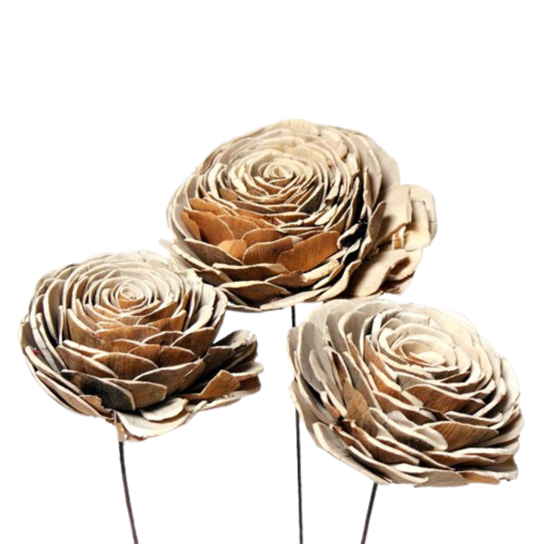 Wooden Roses - sola wood roses set of 3 Flowers, natural, large