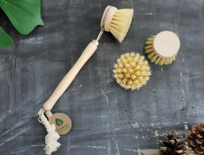 Best Natural Bristle Dish Brush - Refill only
