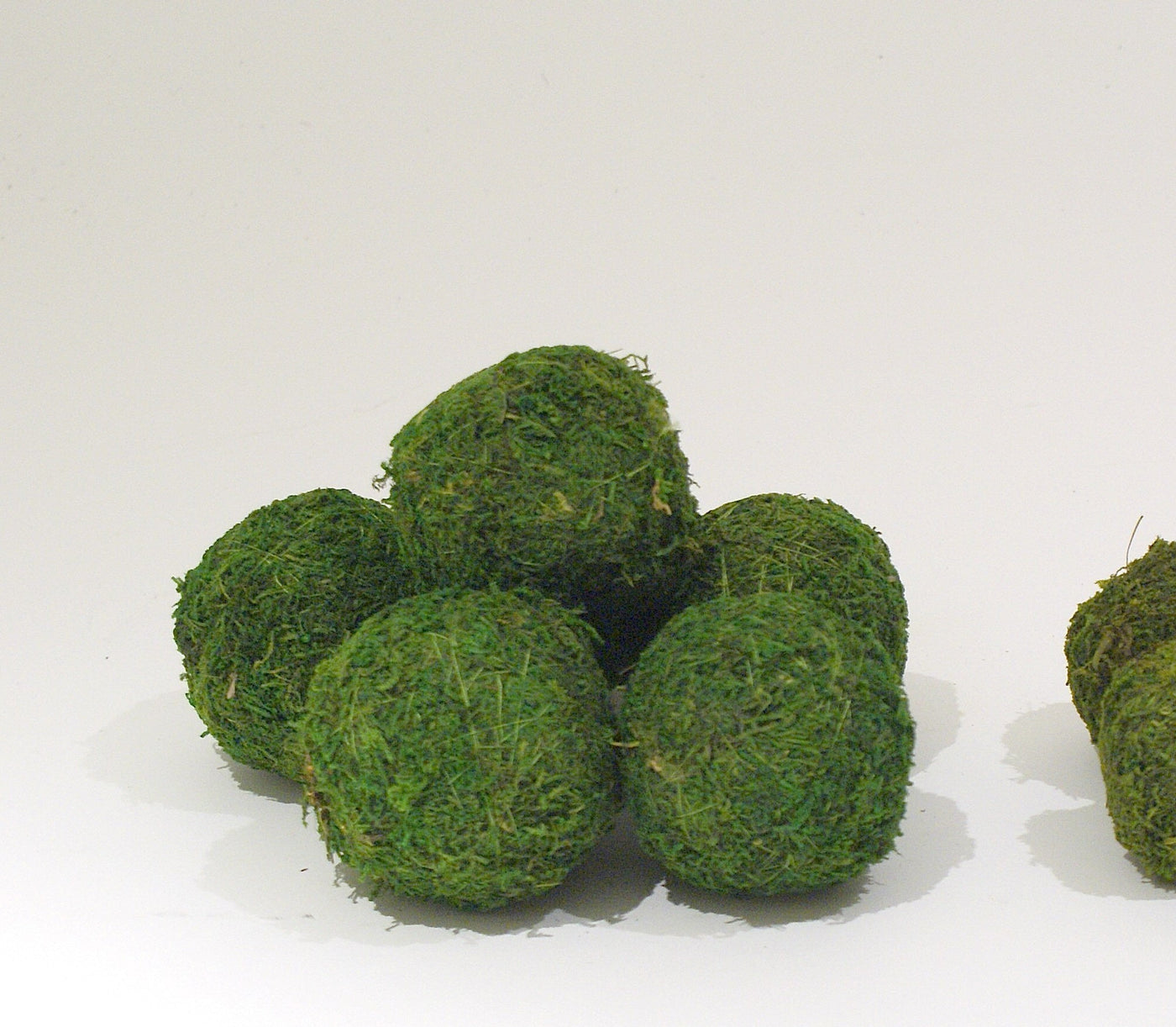 Preserved Moss Balls
