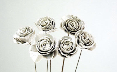 Sola Whitewash Roses, Small: Bundle of 6