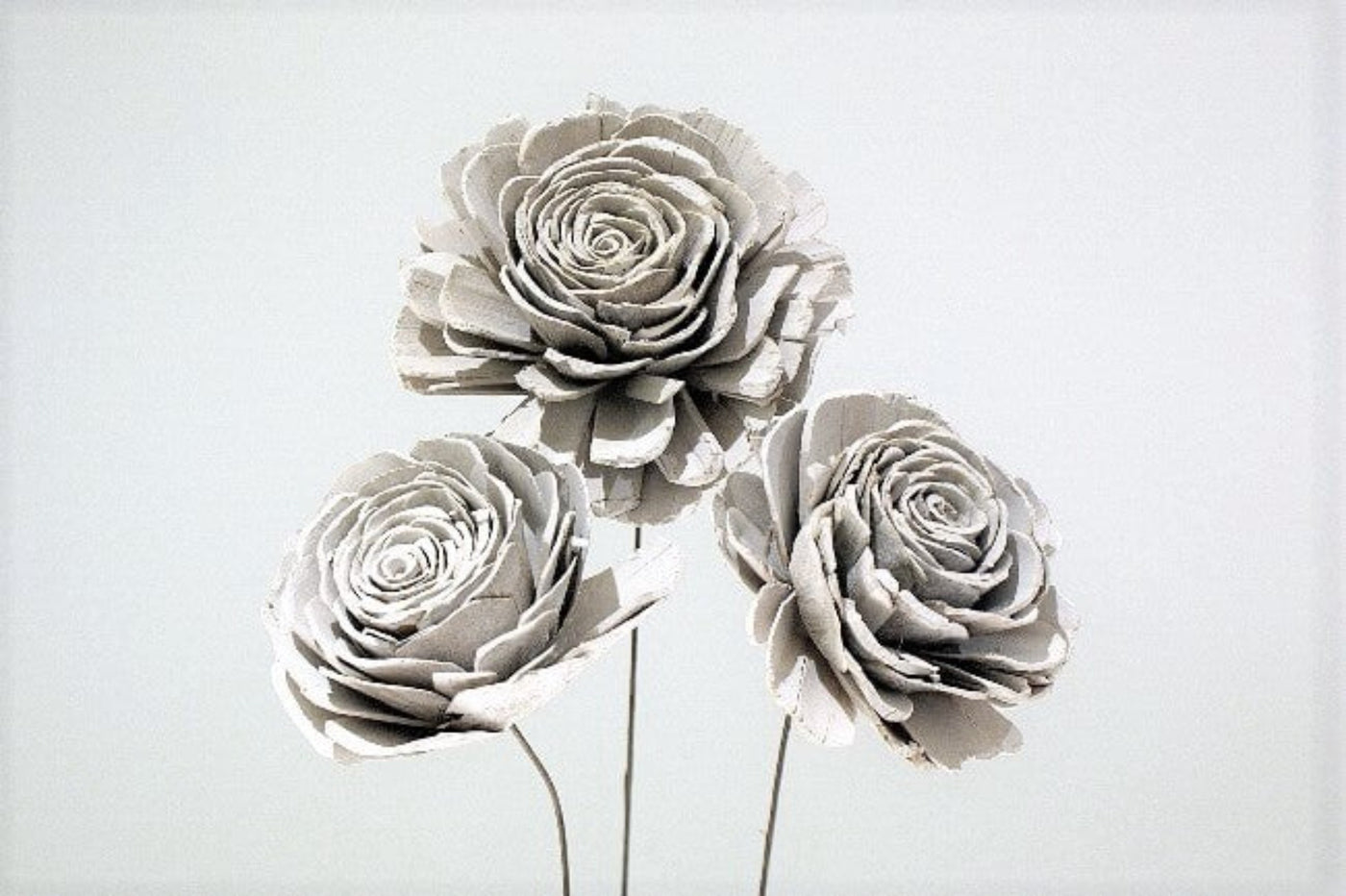 White Wooden Roses - Whitewash, Large, Set of 3
