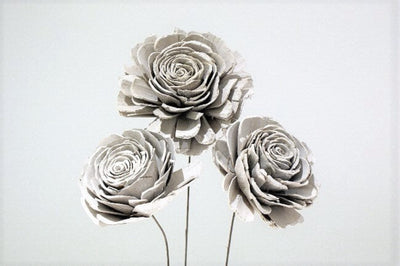 White Wooden Roses - Whitewash, Large, Set of 3