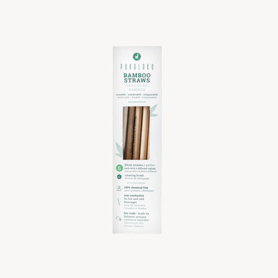 Bamboo Straws, Box of 6
