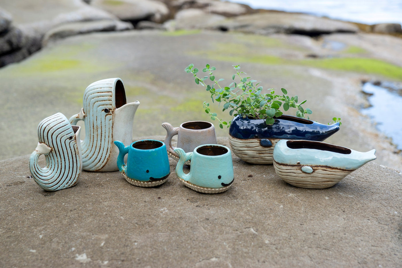 Indaba Mugs