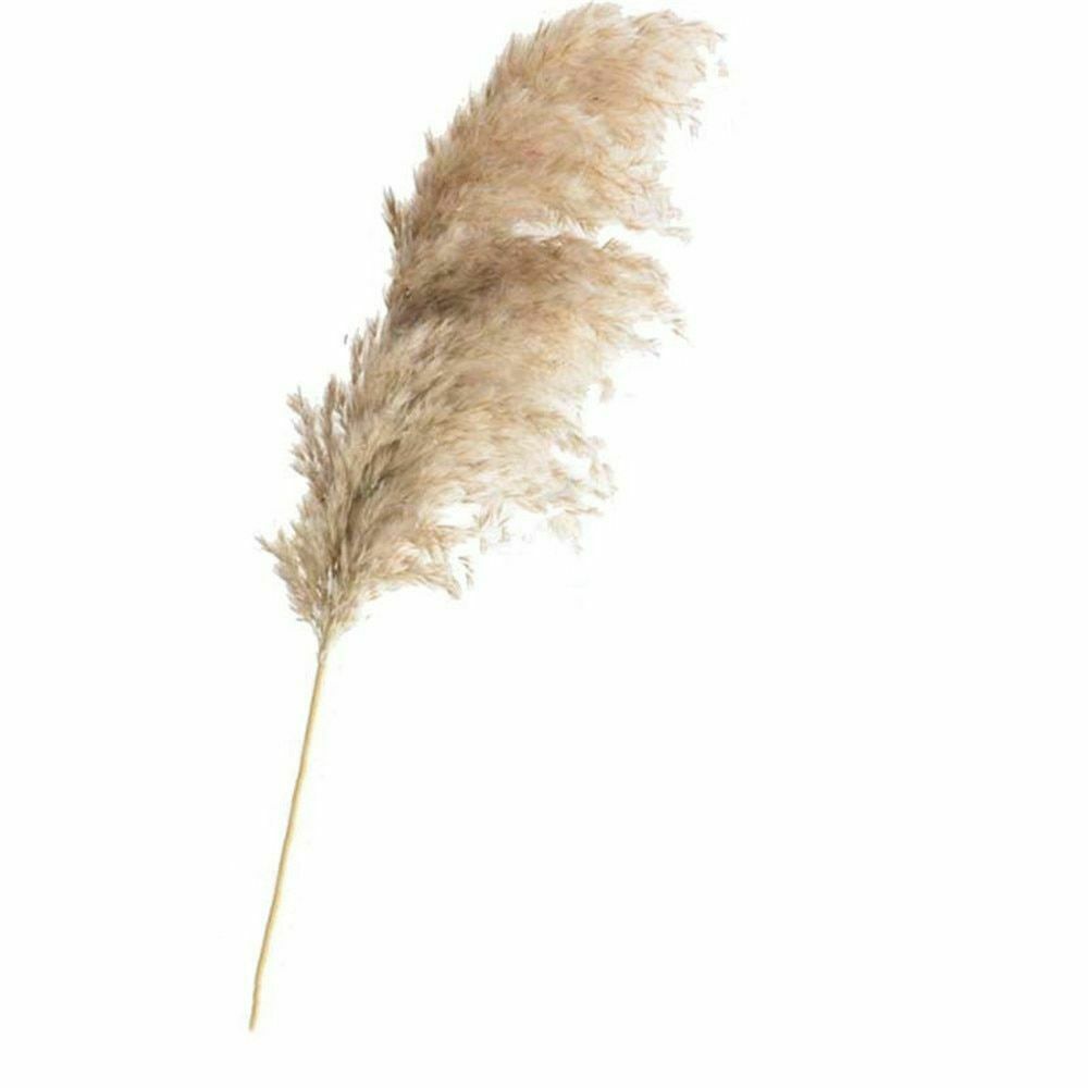 Luxe Pampas Grass: Natural Beige 30"