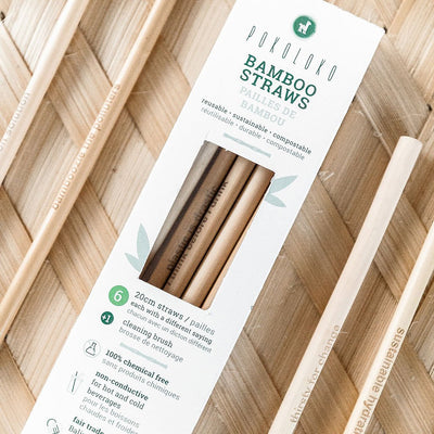Bamboo Straws, Box of 6